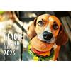 Edition Seidel Calendario Premium Beagle 2026, formato DIN A3, da parete, per cani, cuccioli, animali domestici, carino