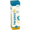 A&R PHARMA HERPASORIN SPRAY NASALE 15ML
