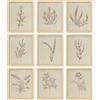 97 Decor Botanical Wall Art - Stampe botaniche vintage, decorazione artistica da parete con piante, immagini artistiche da parete con fiori neutri, dipinti con fiori beige, disegno floreale per camera