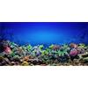 MIRRORANG 120x46cm Acquario Sfondo Corallo Subacqueo Mondo Pesce Serbatoio Poster Sfondo Vinile Sfondo