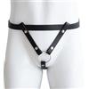 BDSMJOY Gabbia per pene Cintura ausiliaria fissa, Cintura di castità maschile, Cinghia per gabbia di castità, Cintura ausiliaria Gabbia per pene Cintura di castità Gabbia di castità