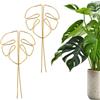 TenaLucy 2 Pezzi Supporto Piante,Pali di Supporto per Piante Sostegno per Piante Monstera Sostegni per Pomodori Supporto per Rampicanti Monstera Grow Gancio Supporto per Pianta Twisty Anelli (Oro)
