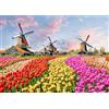 AveJoys Puzzle per adulti, 1000 pezzi, mulino a vento, tulipano, 70 x 50 cm, puzzle per adulti, gioco educativo, 1000 pezzi puzzle per adulti