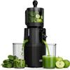 WETIE Estrattore Lento Frutta e Verdura, Estrattore di Succo a Freddo con Apertura Extra Large 120mm, 99% Resa, Facile da Smontare e Pulire, BPA Free, Include 2 Bicchieri e Ricettario