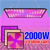 NONE Phytolamp a LED a spettro completo per piante Coltiva la luce Semi di fiori per interni Coltivazione idroponica Phyto Lampada Quantum Board LED Light