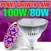 NONE 220V LED Spettro Completo Coltiva La Lampadina E27 Phytolamp Per Le Piante LED E14 Lampada UV Semi di Fiori Interni Luci di Crescita Idroponica