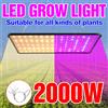 NONE LED Pianta Coltiva La Luce Spettro Completo Quantum Board Phytolamp Interno Idroponica Serra Tenda Coltiva La Scatola Lampada per Coltivazione di Fiori