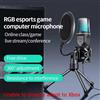 AyeBeau Microfono professionale a condensatore per PC portatile Computer da gioco USB cablato Streaming Podcast Studio Mike Kit Accessorio per giocatori
