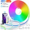 NONE 5V USB RGB Neon LED Strip 1/2/3/4/5M Tuya WiFi Neon RGB Strip funziona con Smart Life APP/Alexa/Google Home per l'illuminazione della decorazione al Neon