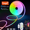 NONE Striscia LED al neon RGB USB 5V 1M 2M 3M 4M 5M WiFi Striscia al neon RGB Funziona con l'app Tuya/Smart Life/Alexa per TV Home Neon Decor Lighting