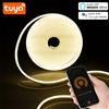 NONE Spina UE DC12V 24V Tuya Smart WiFi APP Neon LED Strip Lampada al neon in silice Nastro Retroilluminazione Decorazione della casa funziona con Alexa Google Home