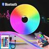 NONE Striscia LED al neon RGB USB 5V App Bluetooth con telecomando Striscia al neon impermeabile Striscia RGB per illuminazione domestica