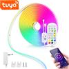 NONE Striscia LED al neon RGB WiFi con spina europea 12/24V, striscia al neon RGB 1/2/3/4/5/10/15M funziona con illuminazione Tuya/Smart Life/Alexa/Google Home Deco
