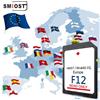 SMIOST Aggiornamento 2024 HM5T-19H449-FG La più recente scheda SD di navigazione F12 Sync2 Mappa Sat Nav UK Europa per Ford Edge/S-Max/Focus