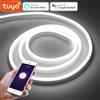 NONE Spina ue Tuya Smart Life LED Neon Light Strip controllo WIFI DC12V/24V 120LED/M lampada a tubo flessibile a corda funziona con Alexa Google Home