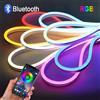 NONE Striscia LED al neon RGB DC12V/24V con spina europea, striscia RGB al neon 1/2/3/4/5/10/15M con Bluetooth/telecomando per illuminazione decorativa al neon domestica