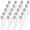 NONE Testine di ricambio per spazzolini da denti compatibili con Philips Sonicare spazzolino elettrico professionale Pro1100 4100 6100 9000 9300