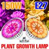 NONE 150W E27 LED pianta a spettro completo coltiva la lampadina semi di fiori per interni coltivazione idroponica vegetale scatola di crescita E14 lampada UV IR