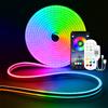 NONE Striscia LED al neon RGB con spina europea 12V/24V, striscia al neon RGB impermeabile 1/2/3/4/5/10/15M App Bluetooth e telecomando per illuminazione decorativa al neon