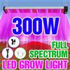 NONE 300W LED Plant Grow Light Full Spectrum Quantum Board Indoor Flower Seed Hydroponic serra lampada per la crescita della coltivazione di ortaggi