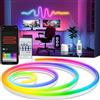 NONE Striscia LED al neon RGBIC USB 5V, nastro per lampada al neon RGBIC IP65 1/2/3/4/5M con app Bluetooth e telecomando per illuminazione al neon fai-da-te