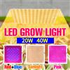NJHIKG 40W 20W LED coltiva la luce spettro completo Quantum Board lampada per piante fiore coltivazione vegetale idroponica luci crescenti AC100-277V