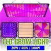 Luci per coltivazione di piante Lampada da tavolo quantistica a spettro completo a LED Fiori da interno Serra Coltivazione di ortaggi Luce crescente idroponica