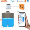 morayelec 10M Moray ME202R 433MHz Sommergibile Allarme remoto ad alta precisione Display della temperatura a LED Sensore di livello del serbatoio WIFI