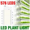 CanLing LED Coltiva La Luce di Striscia Spettro Completo Phyto Lampada Piantine di Fiori Interni Piante Succulente Piante in Vaso Coltivazione Riempimento di Illuminazione AC180-240V