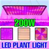 200W LED Quantum Board Coltiva la luce Spettro completo Lampada per piante Tenda per serra Interni di ortaggi Illuminazione per coltivazione di fiori in vaso
