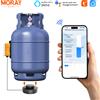 morayelec Sensore di Livello per Serbatoio GPL Moray ME204W, Indicatore di Livello Gas con Monitoraggio in Tempo Reale e Allarme, Compatibile con App Tuya Smartlife e WiFi