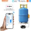 morayelec Moray ME204Z Tuya Smartlife WiFi Zigbee Indicatore livello gas a lunga distanza di trasmissione
