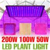 NONE 200W LED Pianta Coltiva La Luce Spettro Completo Quantum Board Lampada Serra Tenda Verdura Coltivazione di Fiori Riempimento di Illuminazione Spina USA/UE