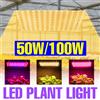 100W LED Quantum Board Coltiva La Luce Spettro Completo Lampada per Piante Spina US/EU Per Interni Growbox Serra Fiore Coltivazione di Verdure