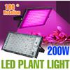 CanLing LED Spettro Completo Coltiva La Luce 220V Serra Pianta Lampada Tenda Verdure Fiore Interno Idroponico Riempimento di Illuminazione 200W 100W 50W 25W