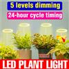 NJHIKG USB DC5V LED Coltiva le luci Lampada ad anello a spettro completo dimmerabile con temporizzazione Accensione/spegnimento automatico per la coltivazione di piante in vaso succulente di fiori