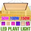 CanLing 150W LED Spettro Completo Coltiva Le Luci Quantum Board Lampada di Coltivazione Spina DEGLI STATI UNITI/UE Per Interni Fiore Serra Tenda pomodoro Verdure