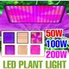 CanLing 200W LED Coltiva La Luce Spettro Completo Quantum Board Lampada per Coltivazione di Piante per Interni in Vaso di Fiori Serra Tenda Pomodoro Verdura