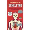Editoriale Scienza Costruisci il tuo scheletro e scopri come funziona il corpo umano. Ediz. a colori. Con modellino da costruire