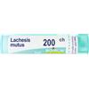 Lachesis mut 200ch gr - BOIRON - 800401984
