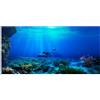 mvrople Decorazione per acquario, in PVC, adesivo per sfondo per acquario, poster adesivo per il mondo sottomarino, decalcomanie, immagini, carta da parati decorativa (122 x 46)