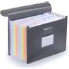 DRAW IN STYLE Cartellina portadocumenti A4 - organizer a soffietto con 12 scomparti - fino a 1.500 fogli - resistente, con linguette colorate - per ufficio, scuola, università e casa - grigio
