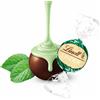 Lindt Cioccolatini Lindt Lindor Boules Cioccolato Fondente Ripieno alla Menta 1000 g