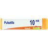BOIRON Srl Pulsatilla 10000K Boiron 80 Granuli