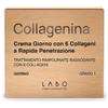 LABO INTERNATIONAL Srl COLLAGENINA CREMA GIORNO1 50ML
