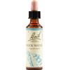 SCHWABE PHARMA ITALIA Schwabe Pharma Rock Water Fiori Di Bach Original Rimedio Fitoterapico 20ml