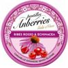 EUROSPITAL SPA Anberries Ribes Rosso & Echinacea 50 G
