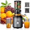 exreizst Spremiagrumi lento - Grande apertura da 103 mm Vincitore del test di frutta e verdura 250 W spremiagrumi 95% senza BPA, ideale per la famiglia, sana alimentazione