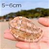 Maggiore Arpa Naturale Mare Conchiglia Acquario Pesce Tender Soprammobile Casa