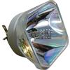 EIKI 610 352 7949 LAMPADA PHILIPS SENZA SUPPORTO (SOLO BULBO)